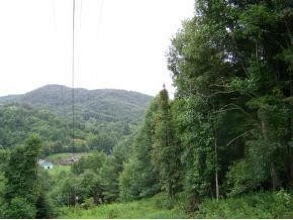 Picture of Residential Land For Sale in Sugar Grove, North Carolina, United States