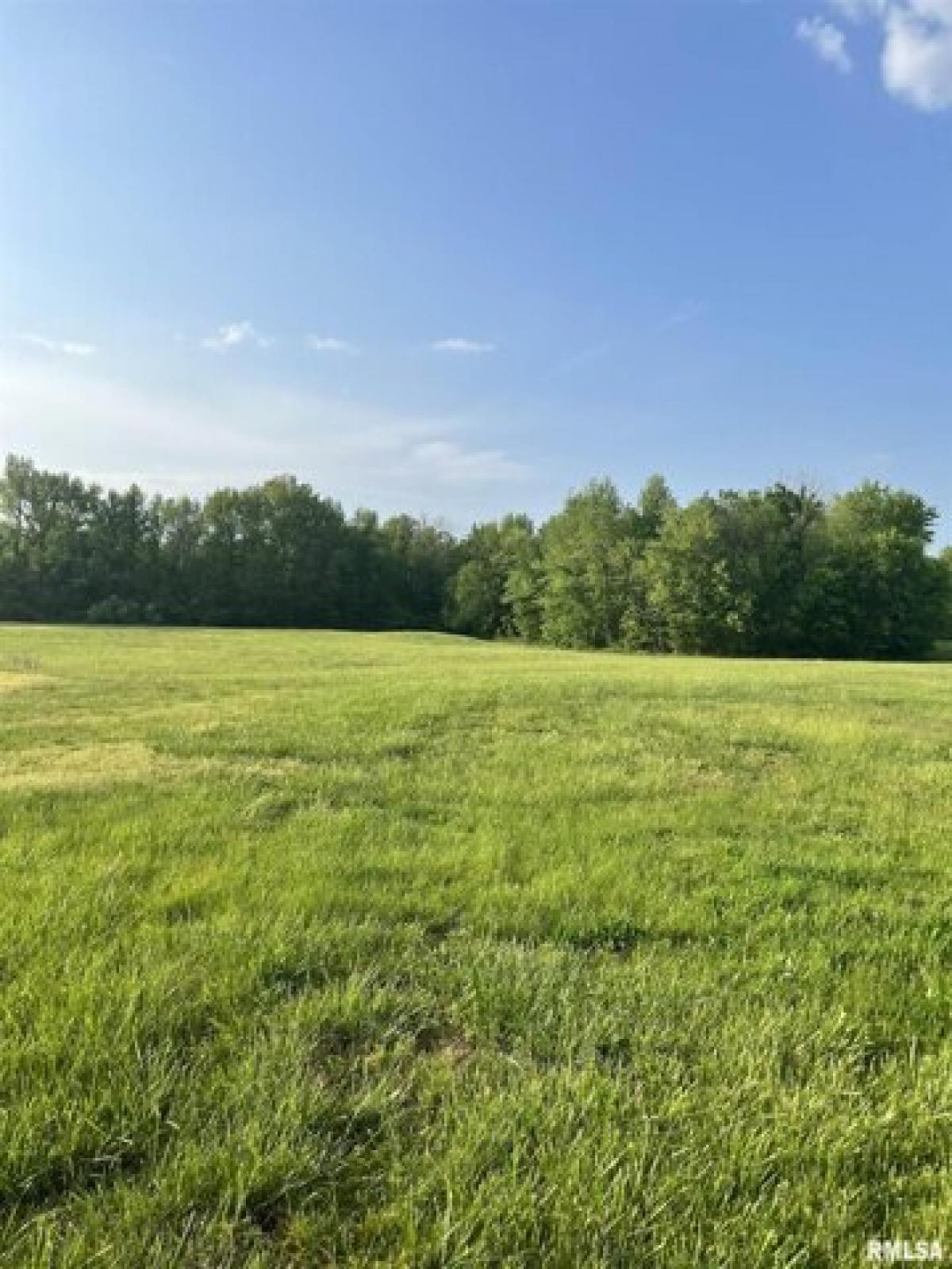 Picture of Residential Land For Sale in Marion, Illinois, United States