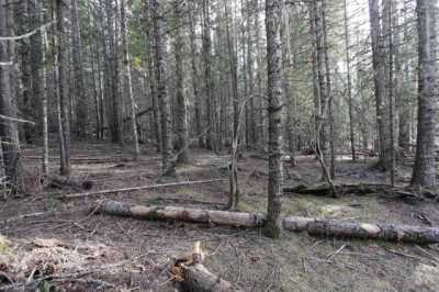 Residential Land For Sale in Weippe, Idaho