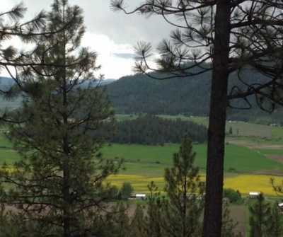 Residential Land For Sale in Chewelah, Washington