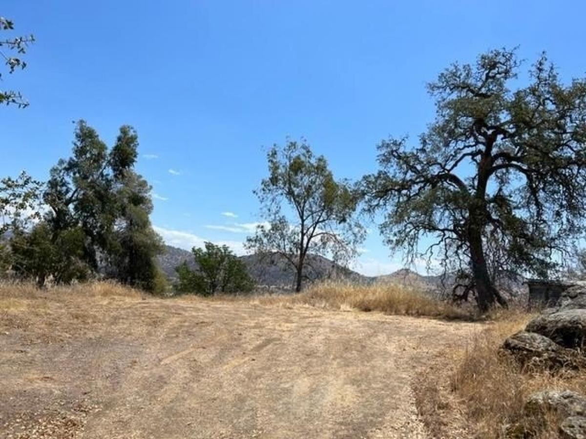 Picture of Residential Land For Sale in Squaw Valley, California, United States