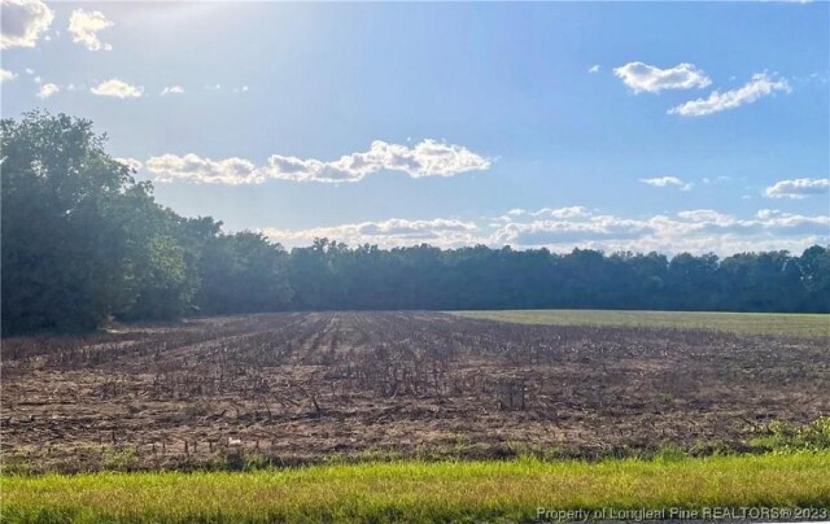 Picture of Residential Land For Sale in Fairmont, North Carolina, United States