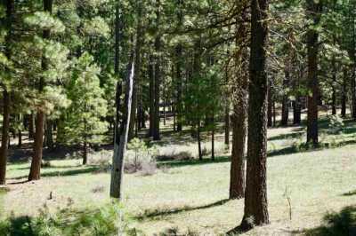 Residential Land For Sale in Graeagle, California
