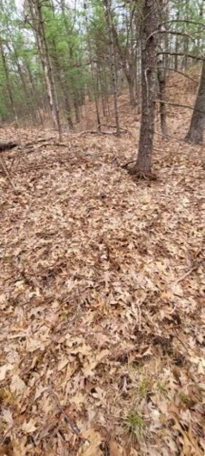 Residential Land For Sale in Pentwater, Michigan