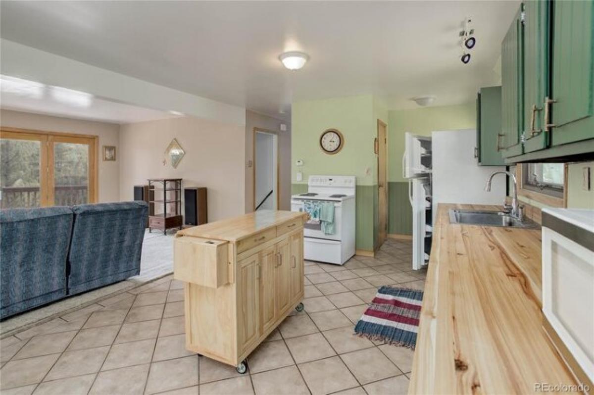 Picture of Home For Sale in Conifer, Colorado, United States