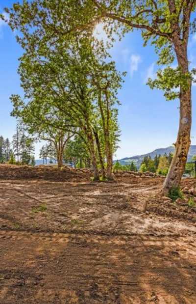 Residential Land For Sale in White Salmon, Washington