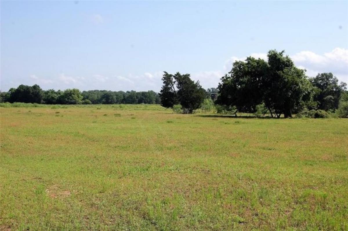 Picture of Residential Land For Sale in Lexington, Texas, United States