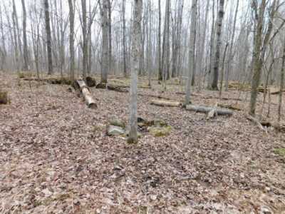 Residential Land For Sale in Winter, Wisconsin