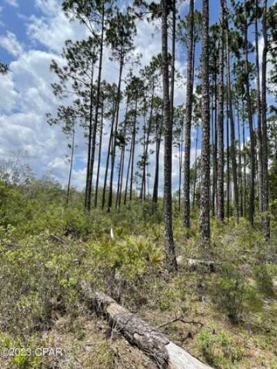 Residential Land For Sale in Youngstown, Florida
