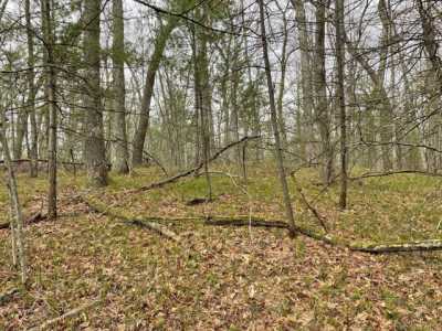 Residential Land For Sale in Bitely, Michigan