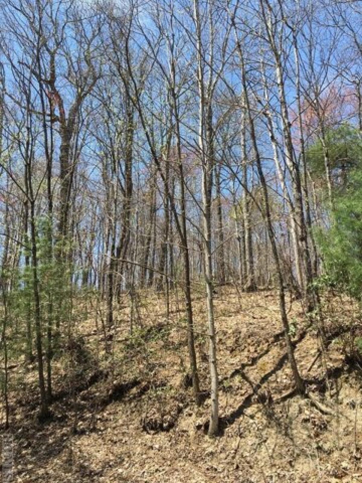 Picture of Residential Land For Sale in Sapphire, North Carolina, United States