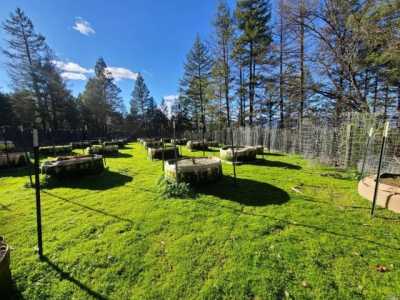 Home For Sale in Covelo, California