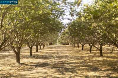 Residential Land For Sale in Arbuckle, California