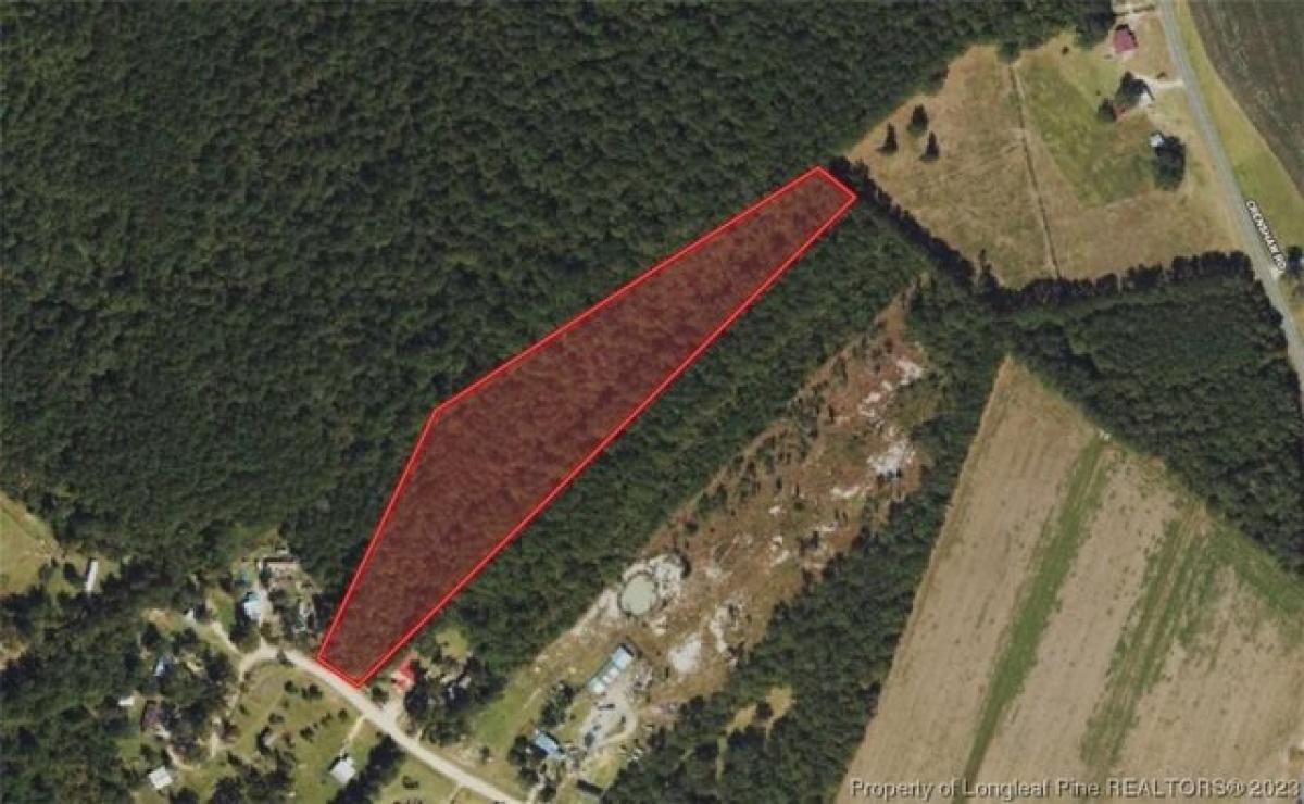 Picture of Residential Land For Sale in Lumber Bridge, North Carolina, United States