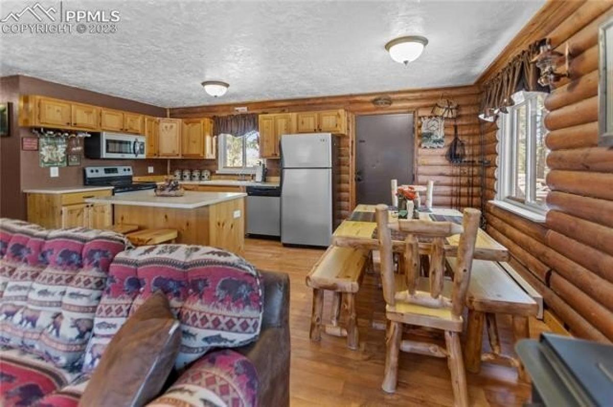 Picture of Home For Sale in Divide, Colorado, United States