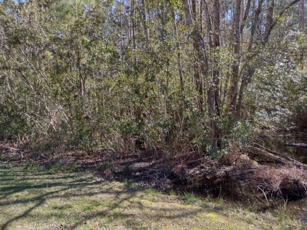 Picture of Residential Land For Sale in New Bern, North Carolina, United States