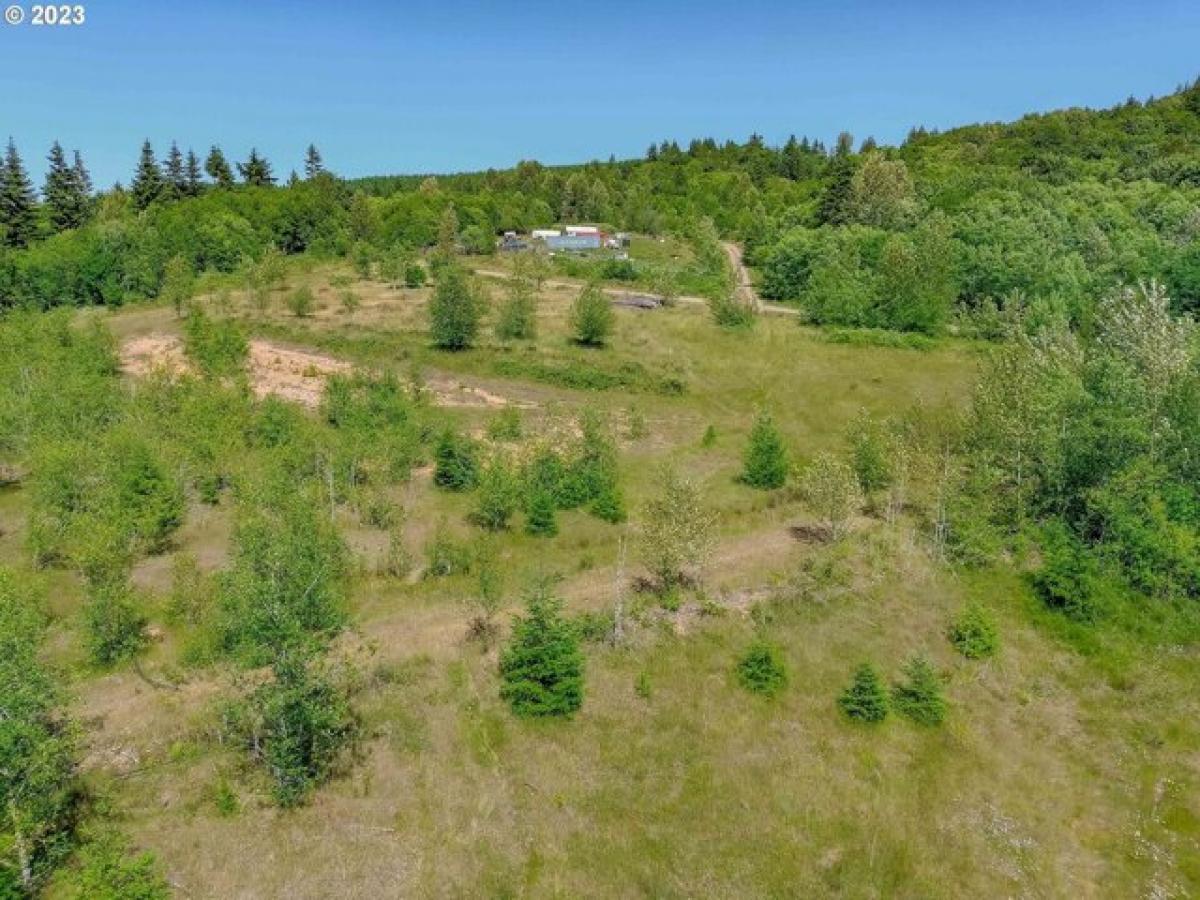 Picture of Residential Land For Sale in Kelso, Washington, United States