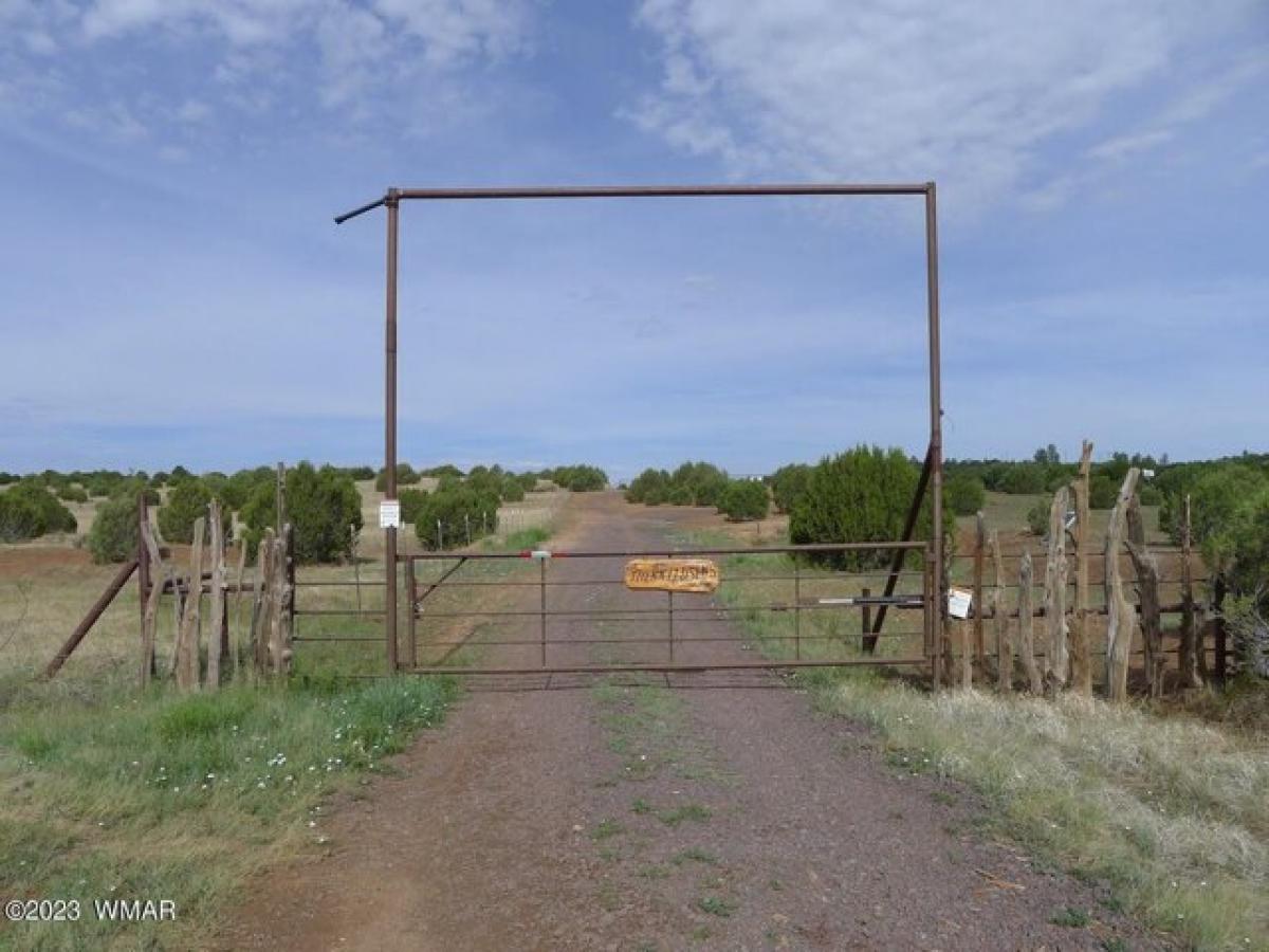 Picture of Residential Land For Sale in Clay Springs, Arizona, United States