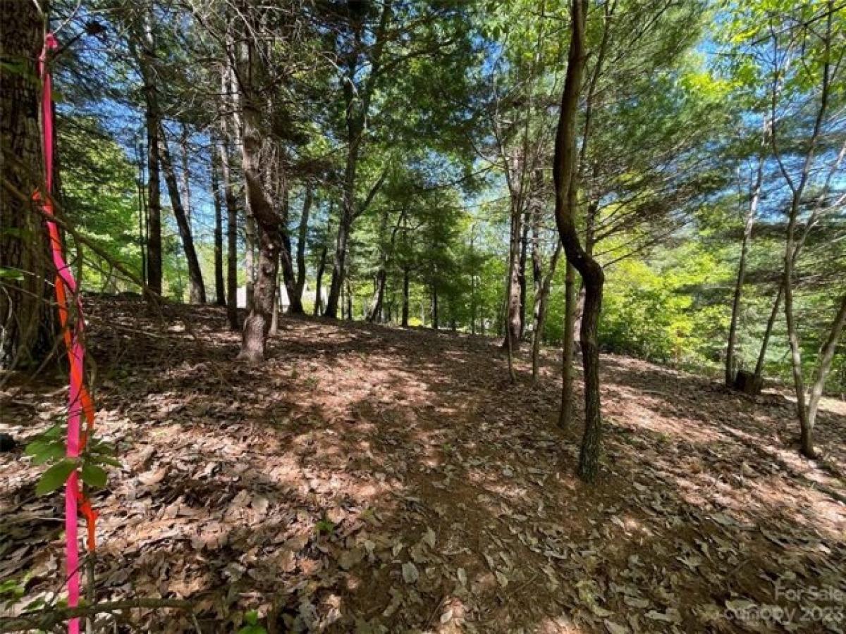 Picture of Residential Land For Sale in Flat Rock, North Carolina, United States