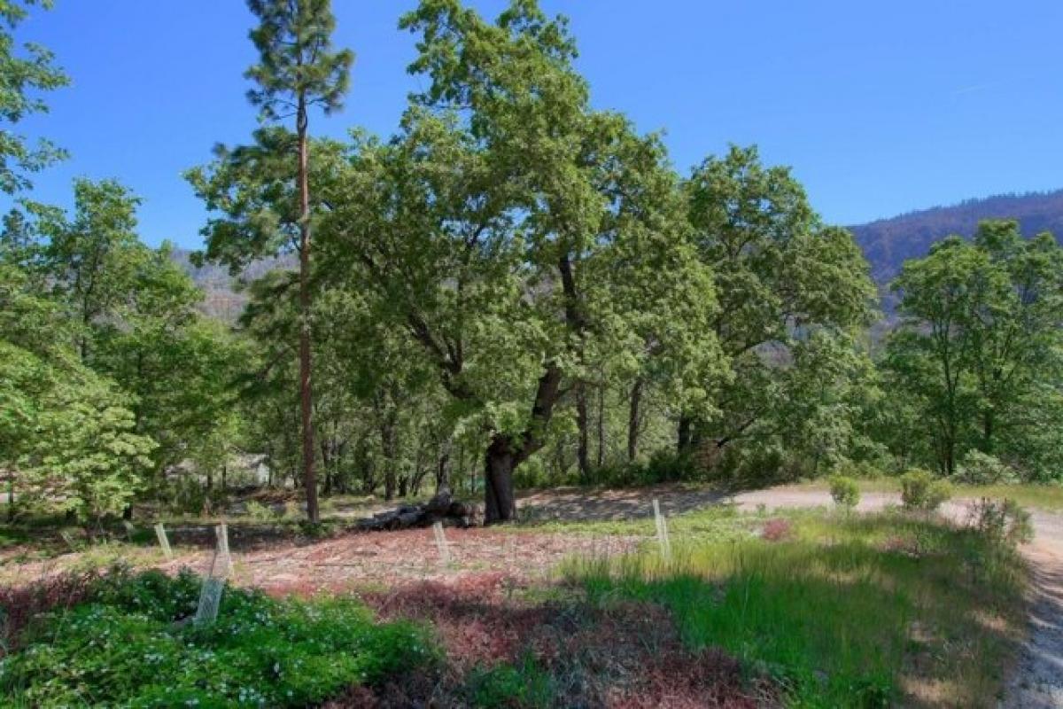 Picture of Residential Land For Sale in North Fork, California, United States