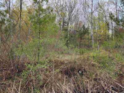 Residential Land For Sale in Rhodes, Michigan