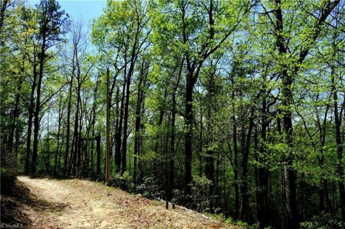 Picture of Residential Land For Sale in McGrady, North Carolina, United States