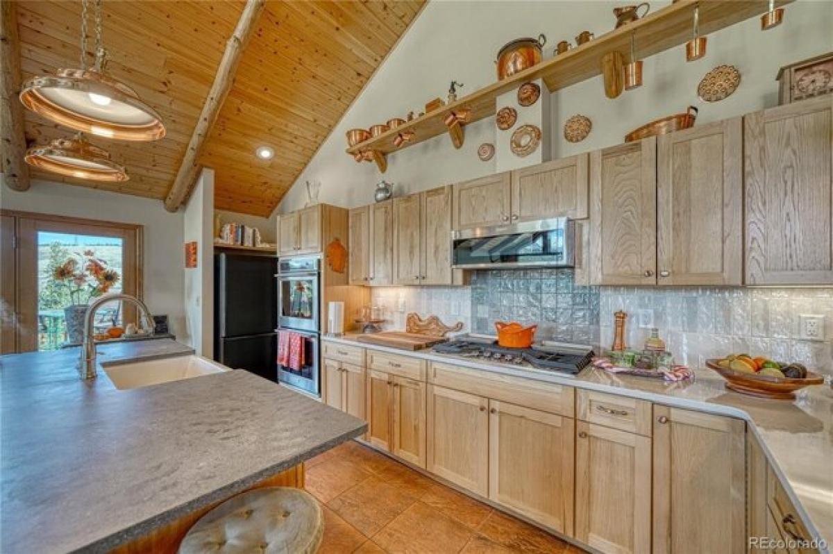 Picture of Home For Sale in Poncha Springs, Colorado, United States