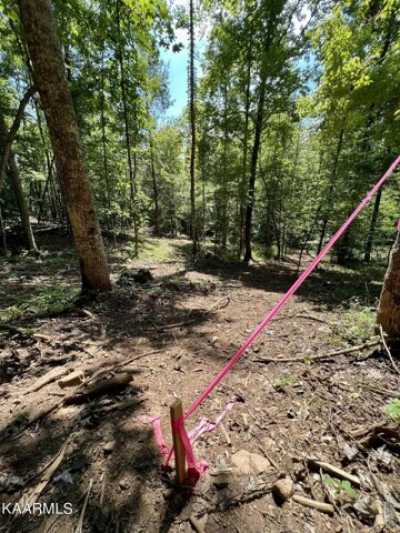 Residential Land For Sale in Walland, Tennessee