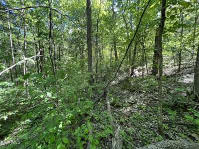 Residential Land For Sale in Alpine, Tennessee