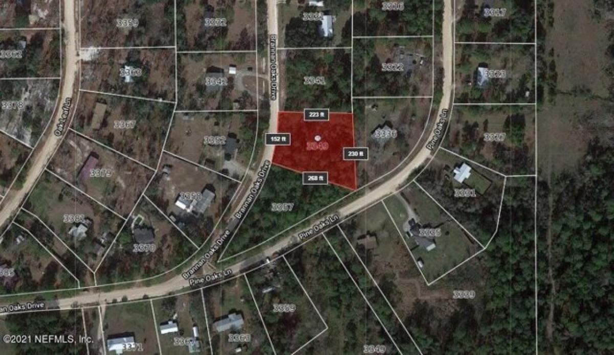 Picture of Residential Land For Sale in Middleburg, Florida, United States
