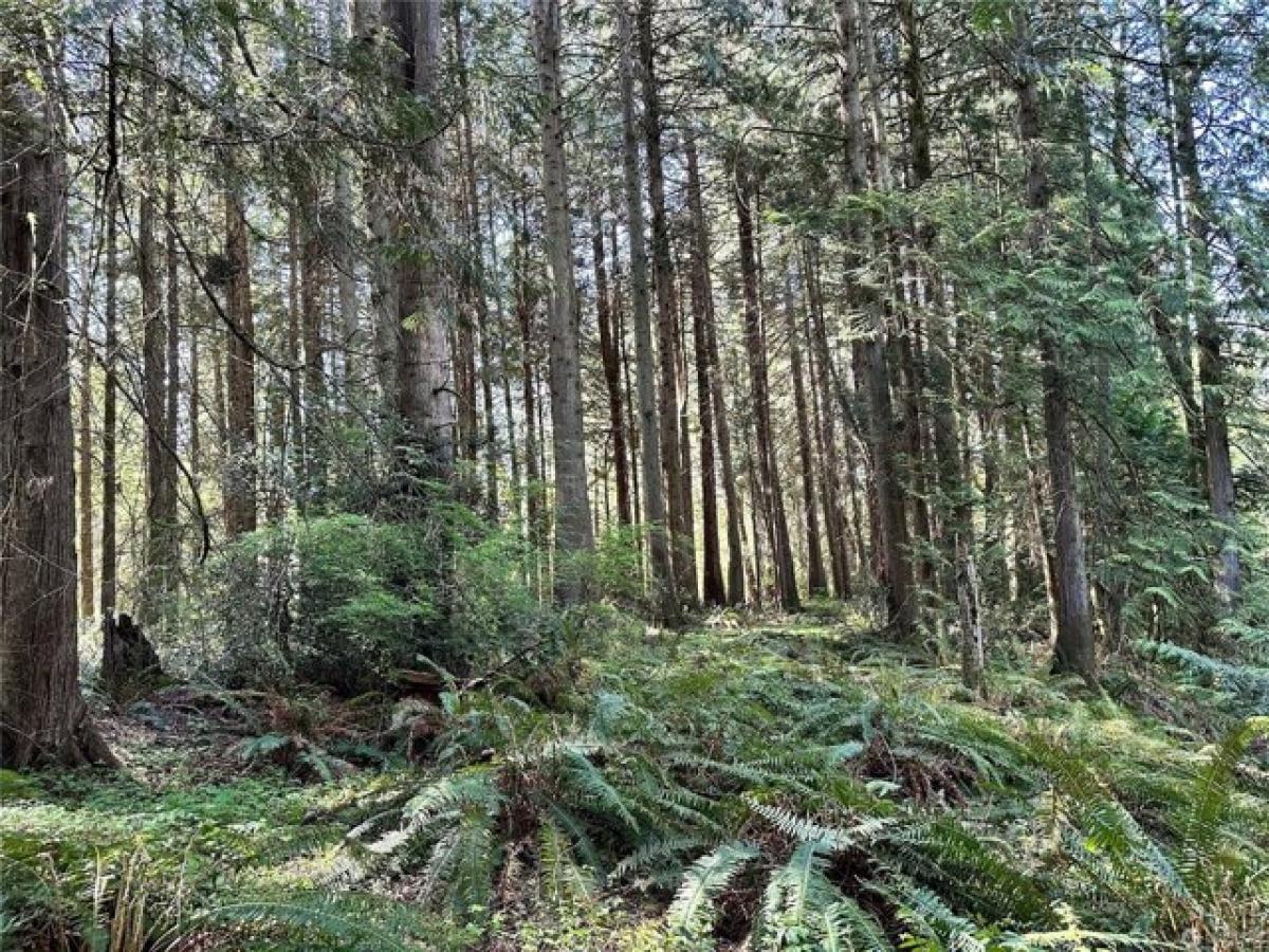 Picture of Residential Land For Sale in Poulsbo, Washington, United States