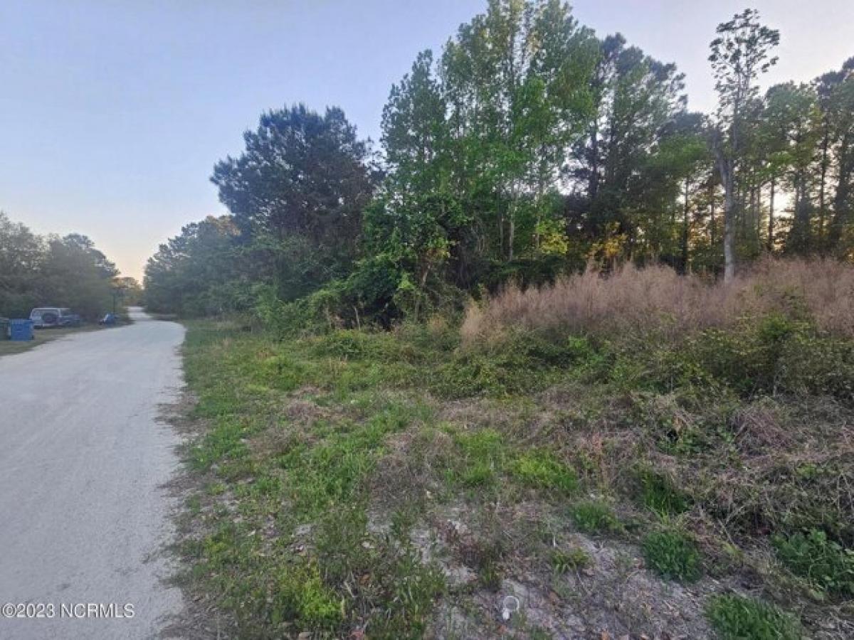 Picture of Residential Land For Sale in Holly Ridge, North Carolina, United States