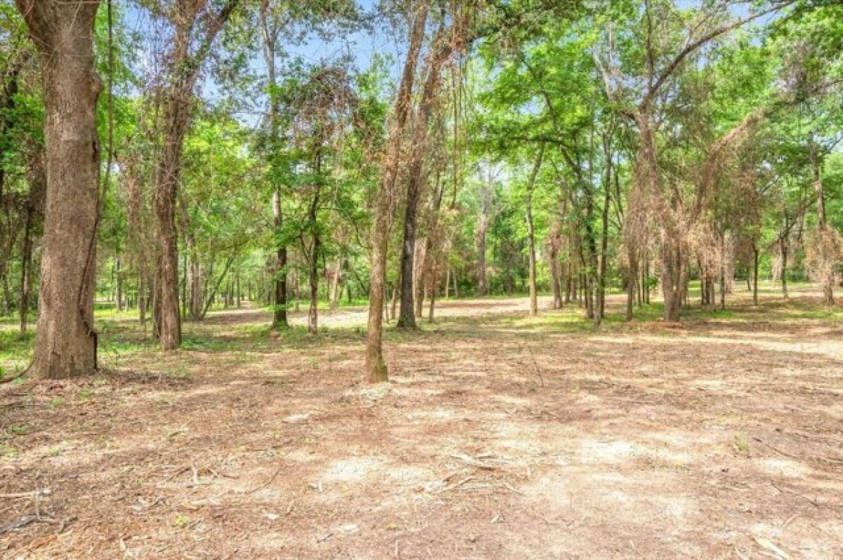 Picture of Residential Land For Sale in Athens, Texas, United States
