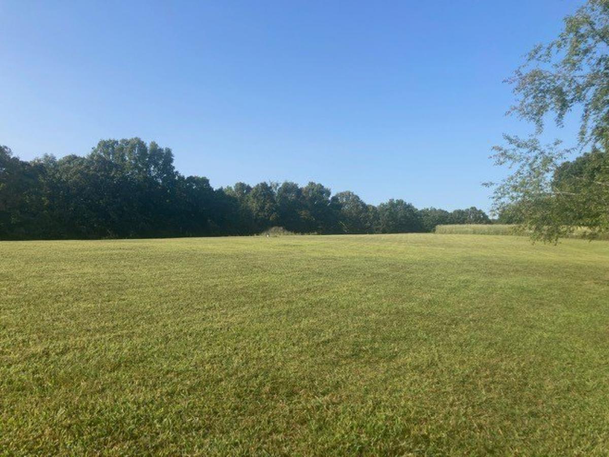 Picture of Residential Land For Sale in Primm Springs, Tennessee, United States