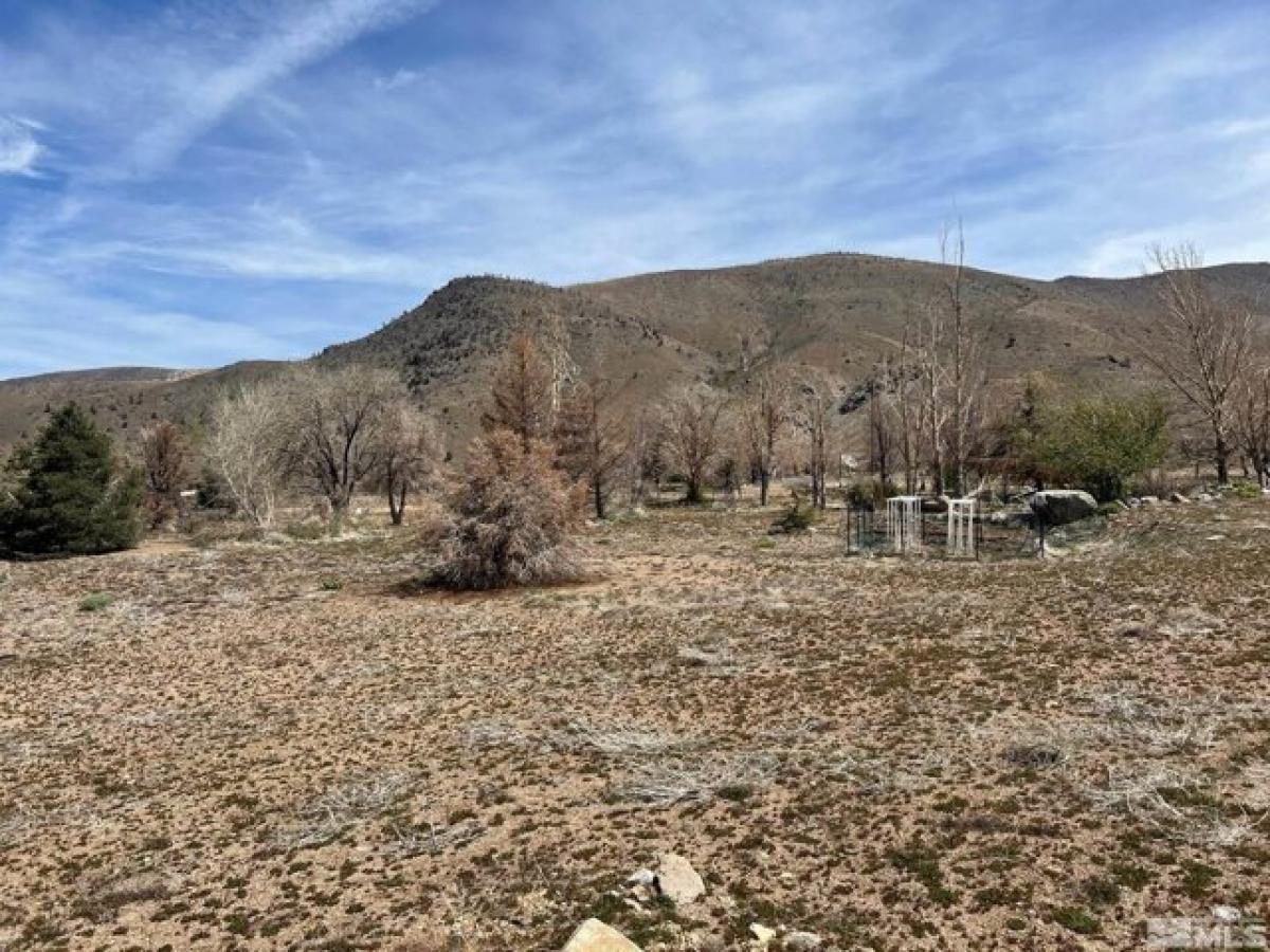 Picture of Residential Land For Sale in Coleville, California, United States