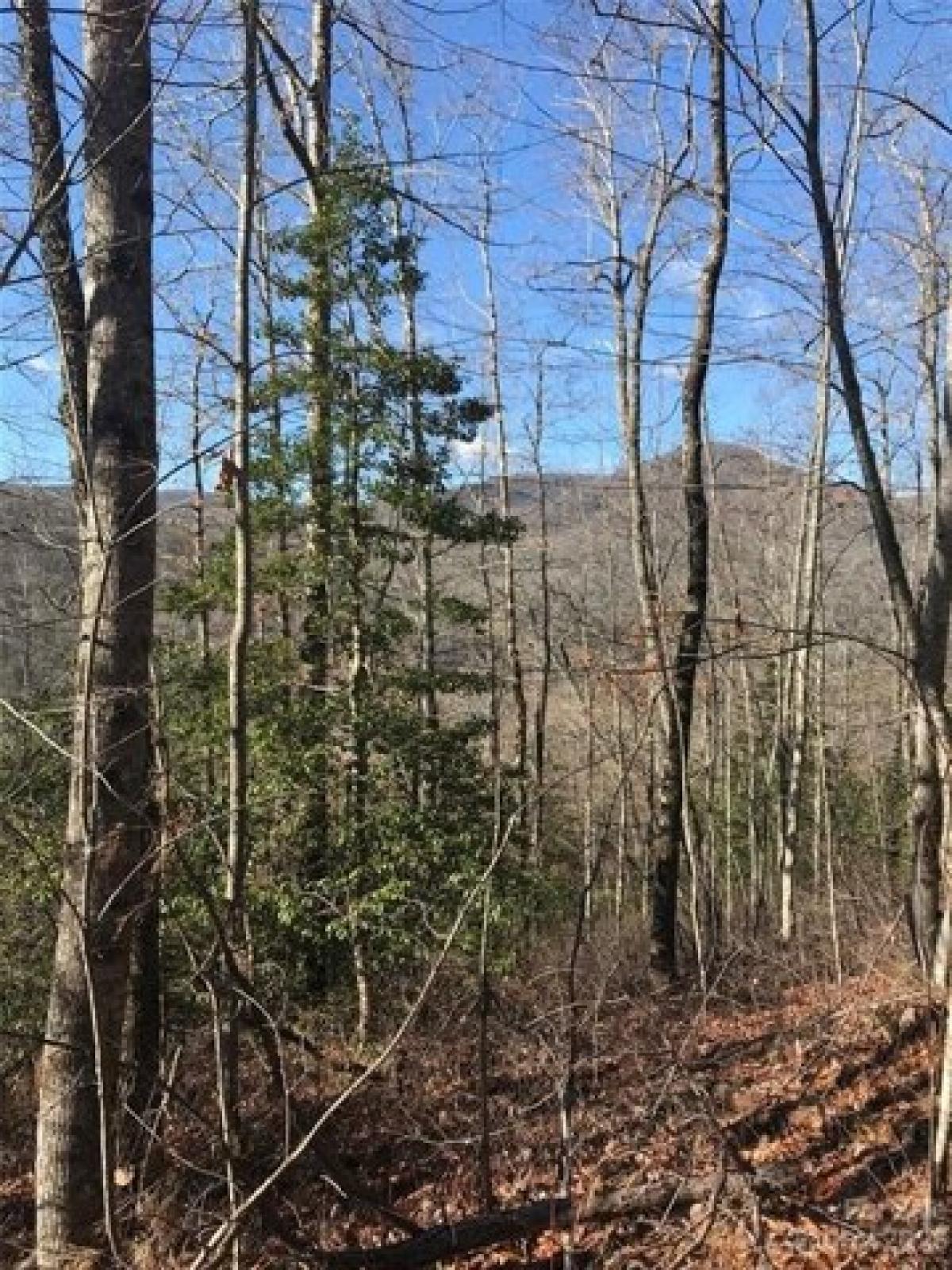 Picture of Residential Land For Sale in Lake Toxaway, North Carolina, United States