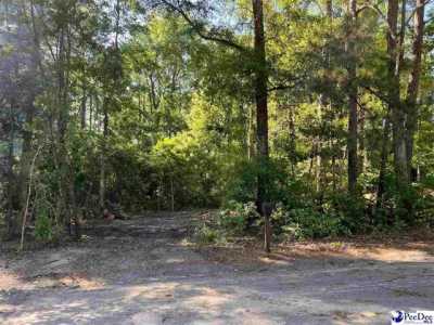 Residential Land For Sale in Johnsonville, South Carolina