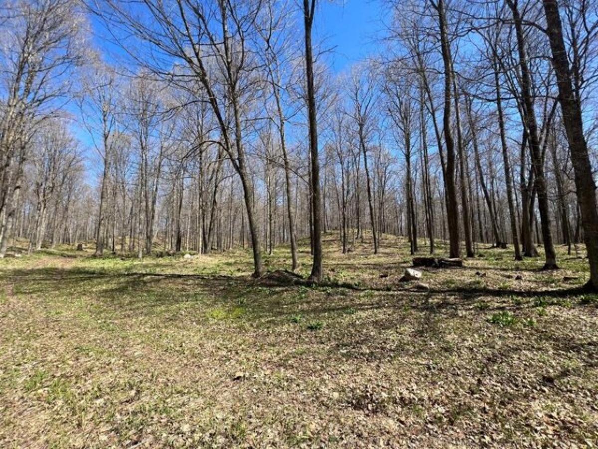 Picture of Residential Land For Sale in Birnamwood, Wisconsin, United States