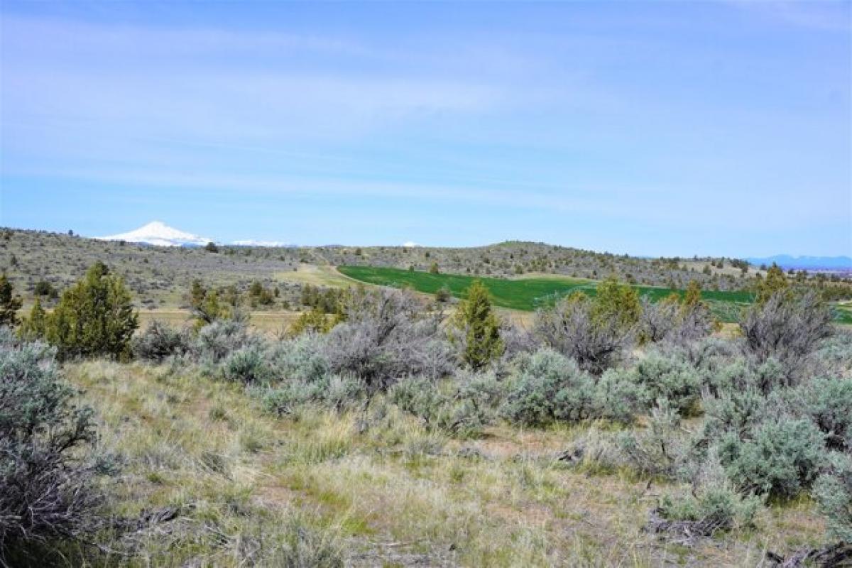 Picture of Home For Sale in Madras, Oregon, United States
