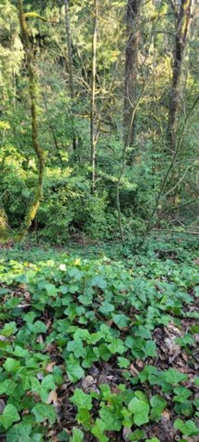 Residential Land For Sale in Issaquah, Washington