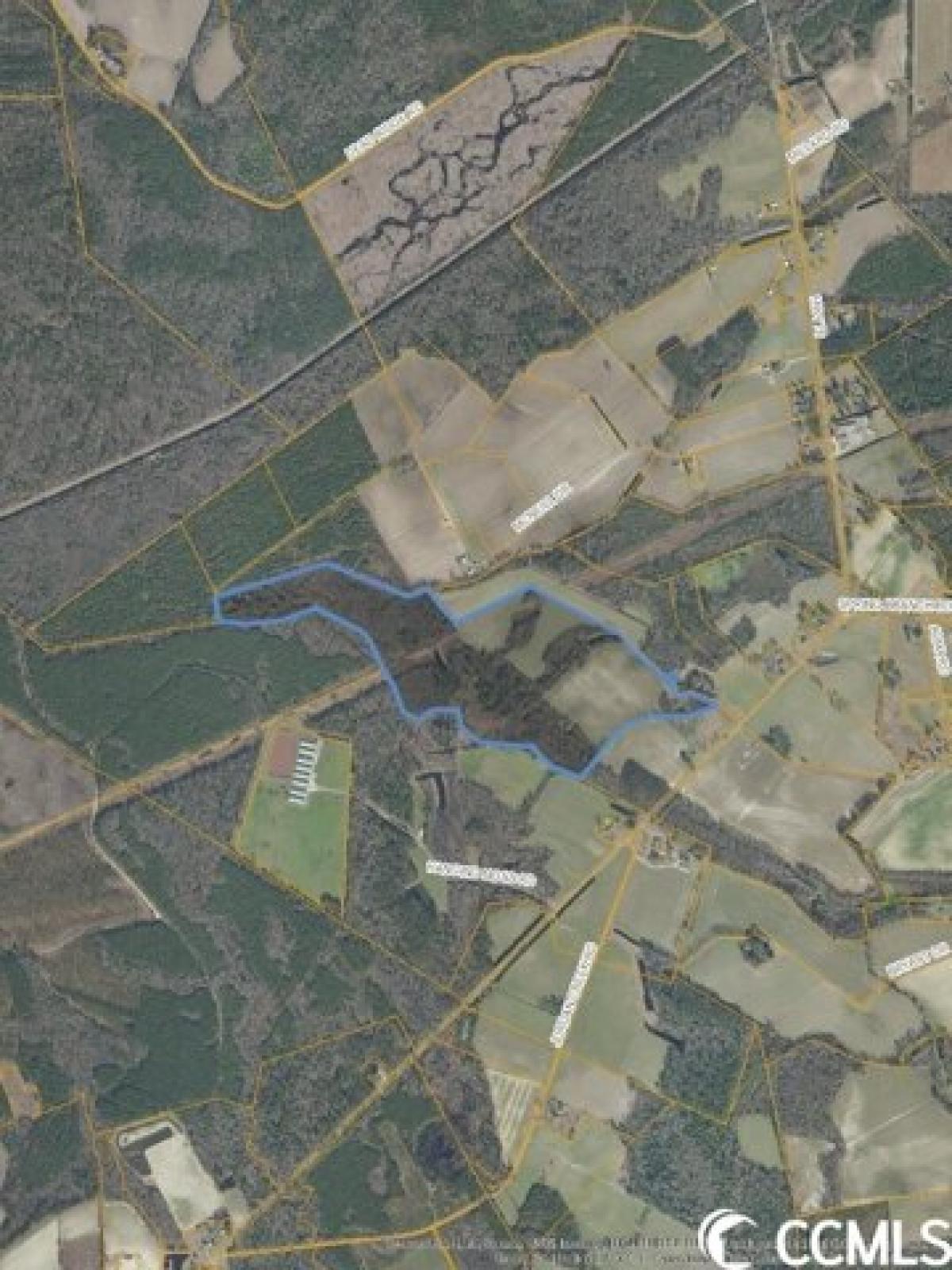 Picture of Residential Land For Sale in Nichols, South Carolina, United States