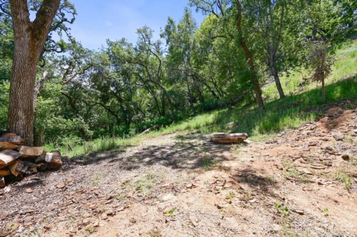 Picture of Residential Land For Sale in Portola Valley, California, United States