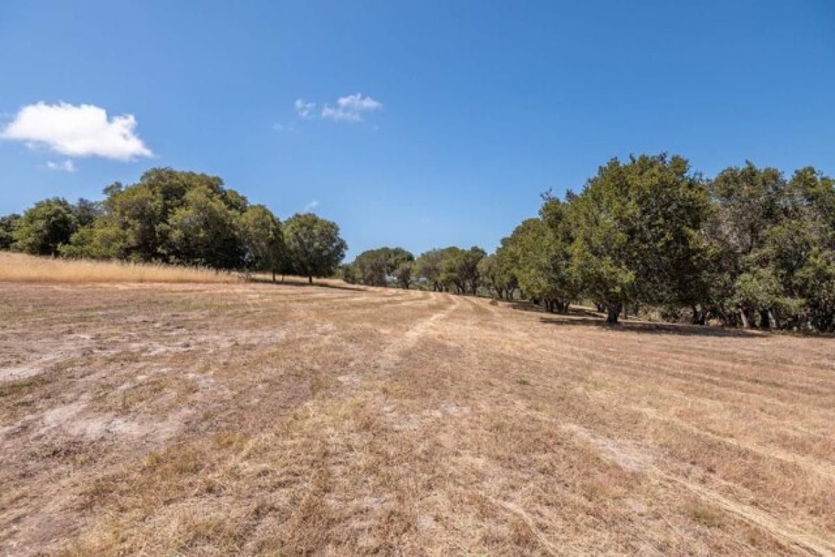 Picture of Residential Land For Sale in Monterey, California, United States