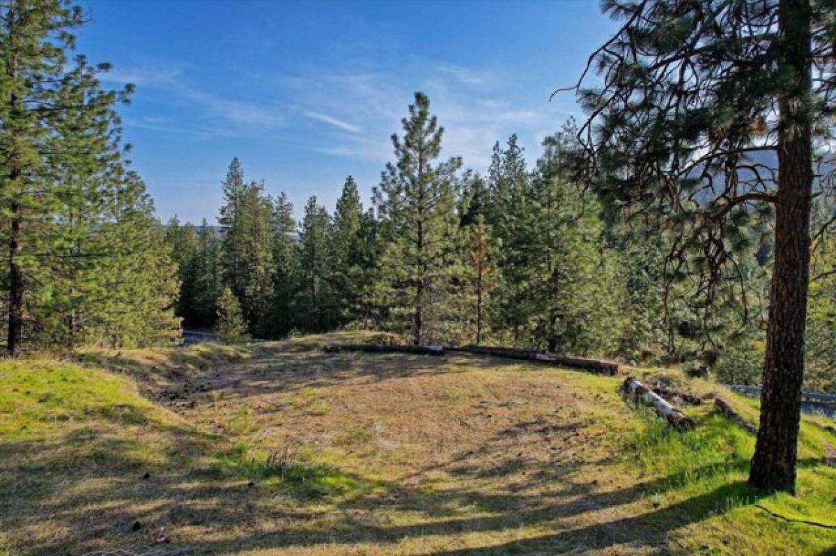Picture of Residential Land For Sale in Tumtum, Washington, United States