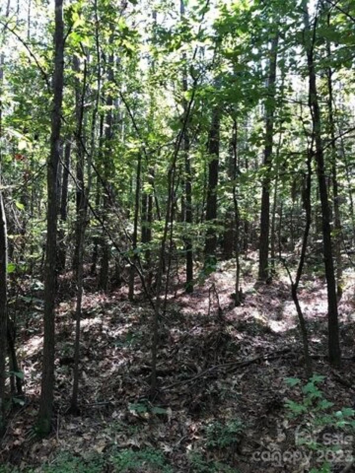 Picture of Residential Land For Sale in Rockingham, North Carolina, United States
