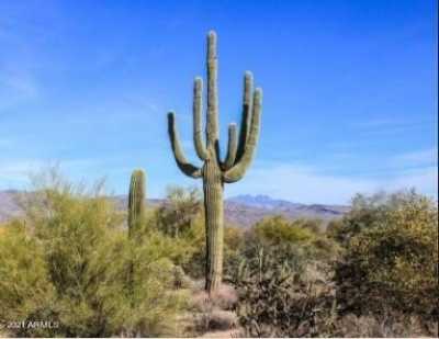 Residential Land For Sale in Rio Verde, Arizona