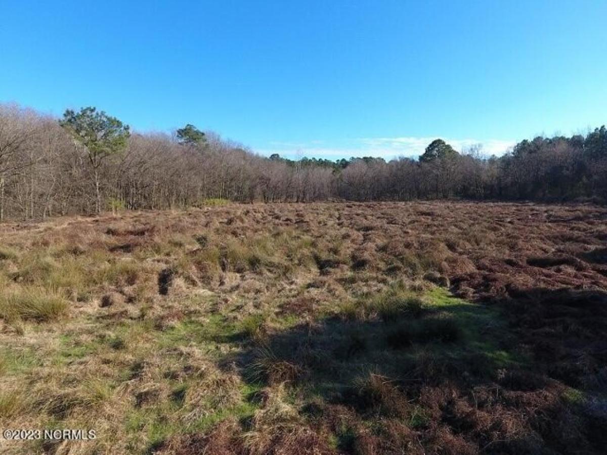 Picture of Residential Land For Sale in Beulaville, North Carolina, United States