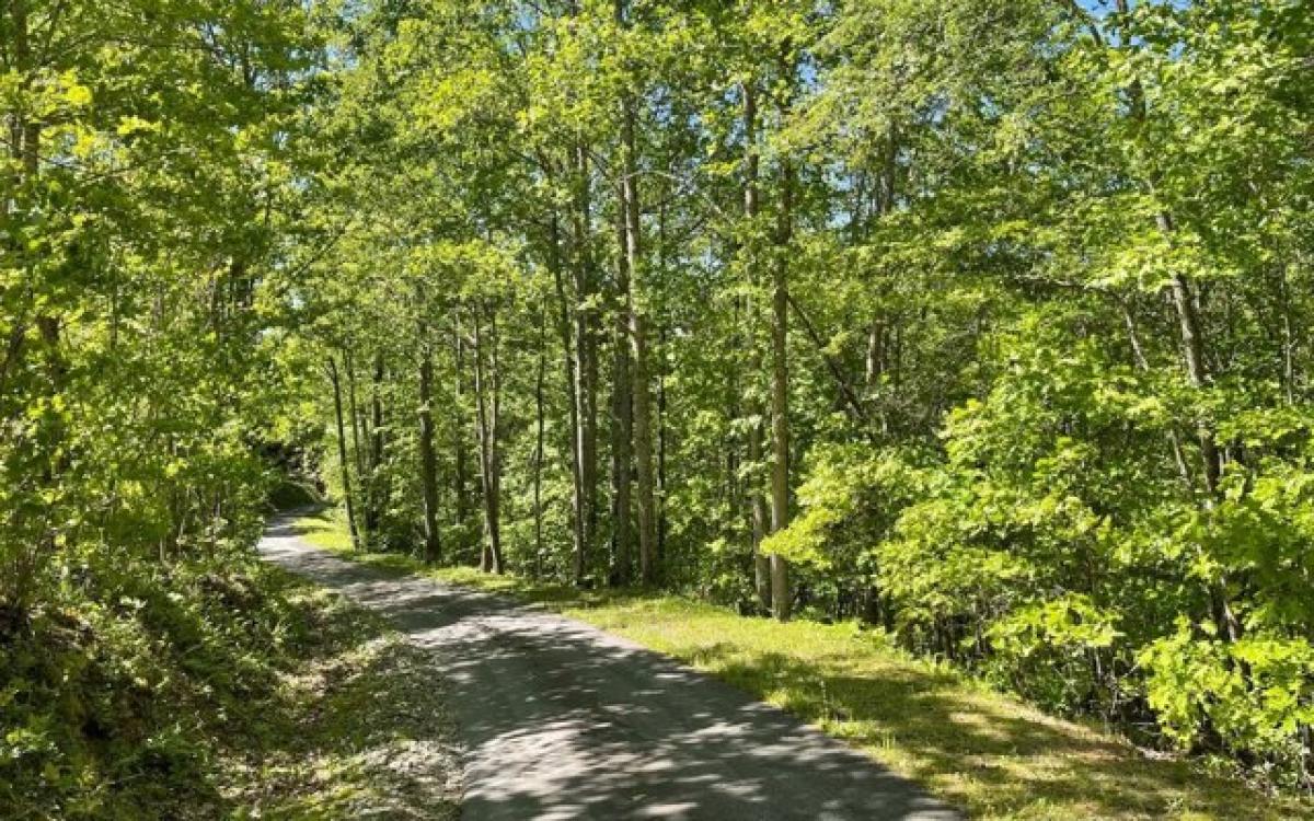 Picture of Residential Land For Sale in Warne, North Carolina, United States