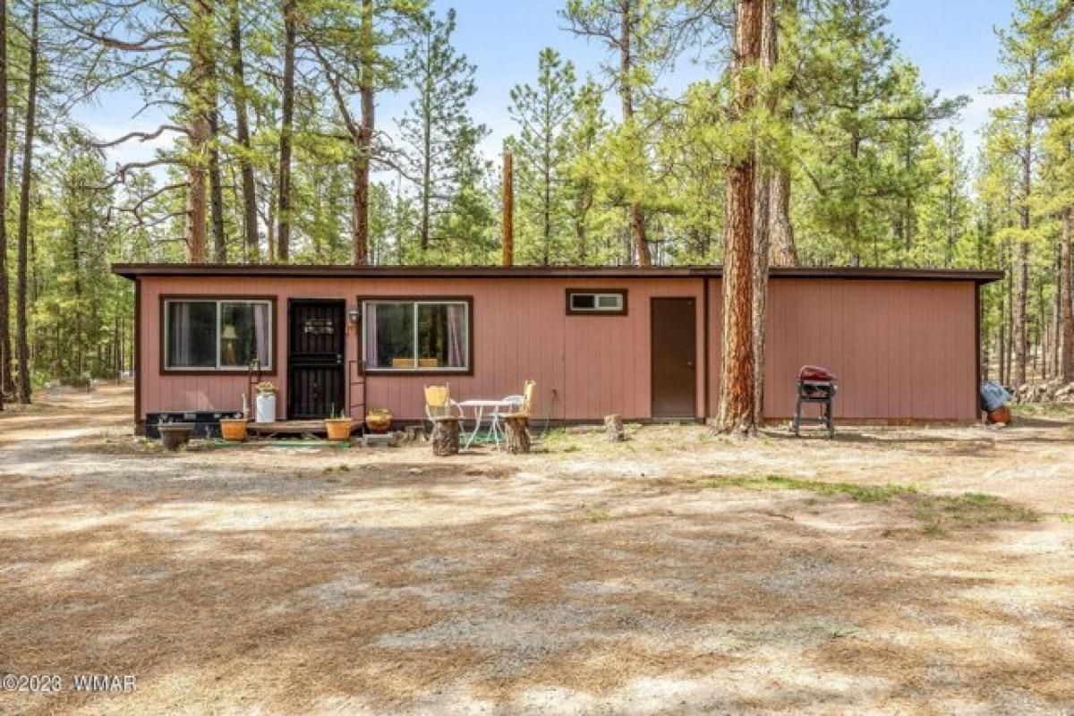 Picture of Home For Sale in Alpine, Arizona, United States
