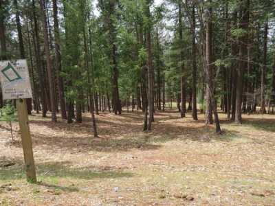 Residential Land For Sale in Quincy, California